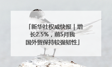 新华社权威快报｜增长2.5%，前5月我国外贸保持较强韧性