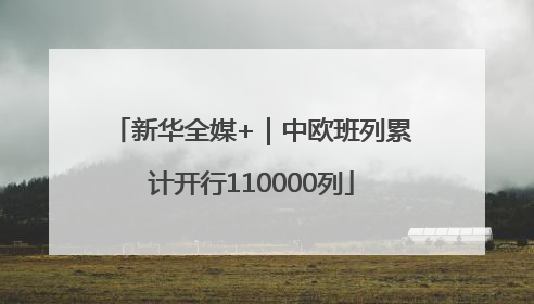 新华全媒+｜中欧班列累计开行110000列