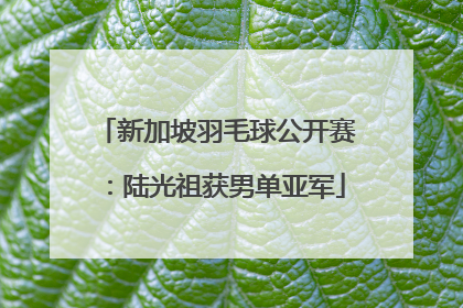 新加坡羽毛球公开赛：陆光祖获男单亚军