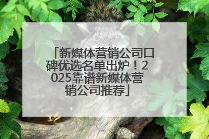 新媒体营销公司口碑优选名单出炉！2025靠谱新媒体营销公司推荐