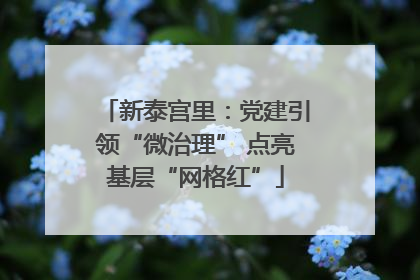 新泰宫里：党建引领“微治理” 点亮基层“网格红”