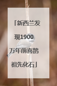 新西兰发现1900万年前喜鹊祖先化石