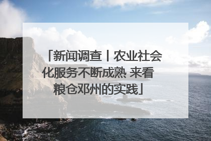 新闻调查丨农业社会化服务不断成熟 来看粮仓邓州的实践