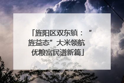 旌阳区双东镇：“旌益态”大米领航 优粮富民谱新篇