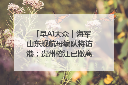 早AI大众｜海军山东舰航母编队将访港；贵州榕江已撤离转移群众超4万人