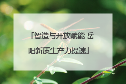 智造与开放赋能 岳阳新质生产力提速