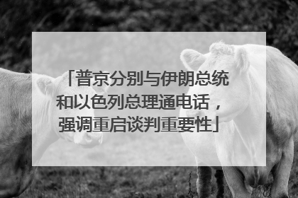 普京分别与伊朗总统和以色列总理通电话，强调重启谈判重要性