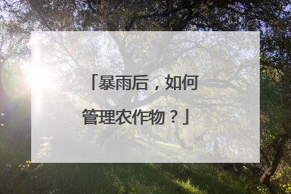 暴雨后，如何管理农作物？
