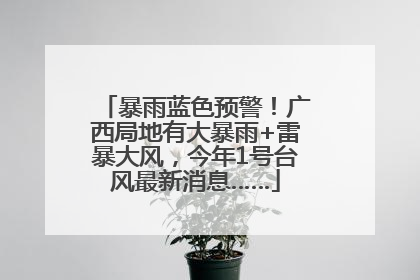 暴雨蓝色预警！广西局地有大暴雨+雷暴大风，今年1号台风最新消息……
