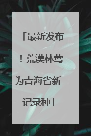 最新发布！荒漠林莺为青海省新记录种