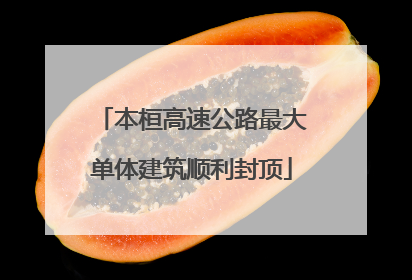 本桓高速公路最大单体建筑顺利封顶