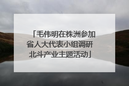 毛伟明在株洲参加省人大代表小组调研北斗产业主题活动