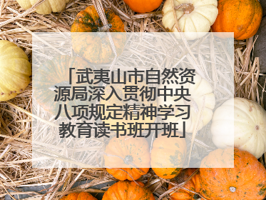 武夷山市自然资源局深入贯彻中央八项规定精神学习教育读书班开班