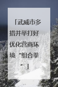 武威市多措并举打好优化营商环境“组合拳”