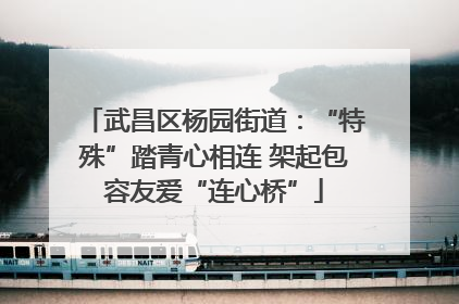 武昌区杨园街道：“特殊”踏青心相连 架起包容友爱“连心桥”