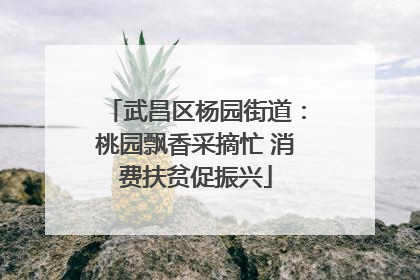 武昌区杨园街道：桃园飘香采摘忙 消费扶贫促振兴