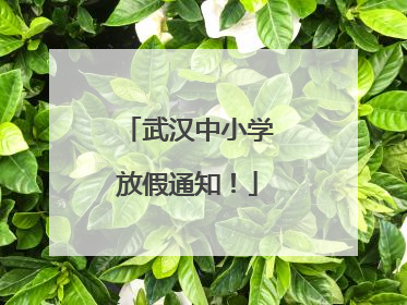 武汉中小学放假通知！