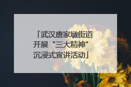 武汉唐家墩街道开展“三大精神”沉浸式宣讲活动
