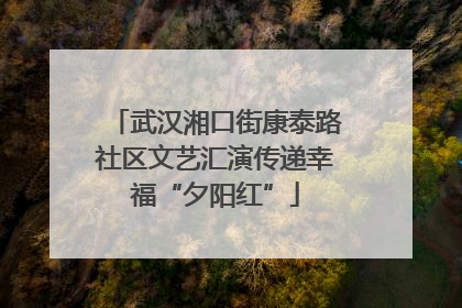 武汉湘口街康泰路社区文艺汇演传递幸福“夕阳红”
