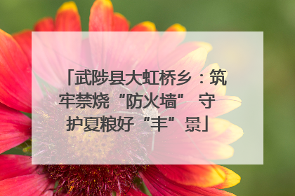 武陟县大虹桥乡：筑牢禁烧“防火墙” 守护夏粮好“丰”景