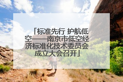 标准先行 护航低空——南京市低空经济标准化技术委员会成立大会召开
