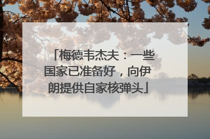 梅德韦杰夫：一些国家已准备好，向伊朗提供自家核弹头