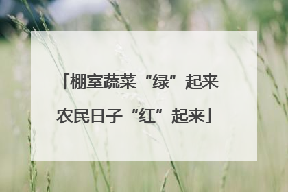 棚室蔬菜“绿”起来 农民日子“红”起来