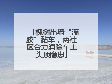 槐树出墙“滴胶”黏车，两社区合力消除车主头顶隐患