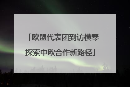欧盟代表团到访横琴 探索中欧合作新路径