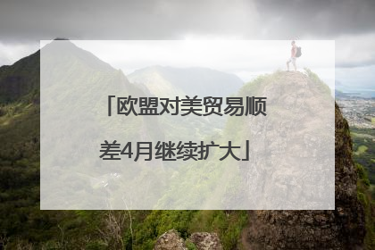 欧盟对美贸易顺差4月继续扩大