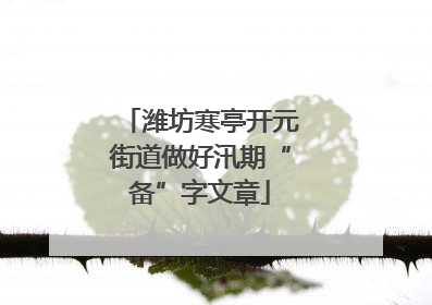 潍坊寒亭开元街道做好汛期“备”字文章