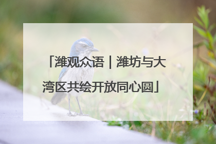 潍观众语｜潍坊与大湾区共绘开放同心圆