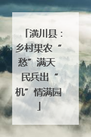 潢川县：乡村果农“愁”满天  民兵出“机”情满园