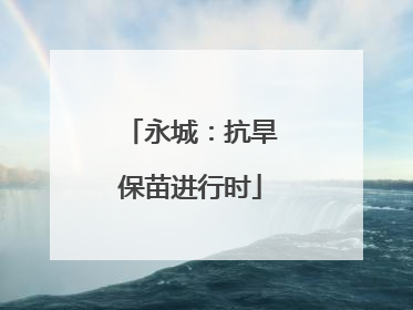 永城：抗旱保苗进行时