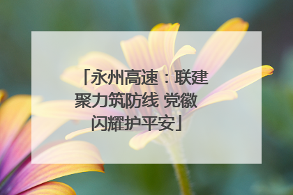 永州高速：联建聚力筑防线 党徽闪耀护平安