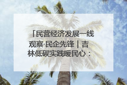 民营经济发展一线观察·民企先锋｜吉林低碳实践暖民心：太阳能供暖技术为北方清洁取暖破局