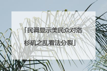 民调显示美民众对洛杉矶之乱看法分裂