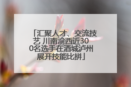 汇聚人才、交流技艺 川南渝西近300名选手在酒城泸州展开技能比拼