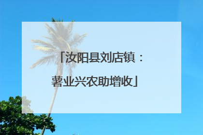 汝阳县刘店镇：薯业兴农助增收