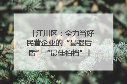 江川区：全力当好民营企业的“最强后盾”“最佳拍档”