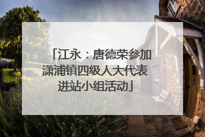 江永：唐德荣参加潇浦镇四级人大代表进站小组活动