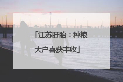 江苏盱眙：种粮大户喜获丰收