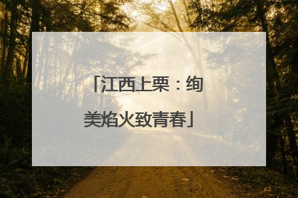 江西上栗：绚美焰火致青春