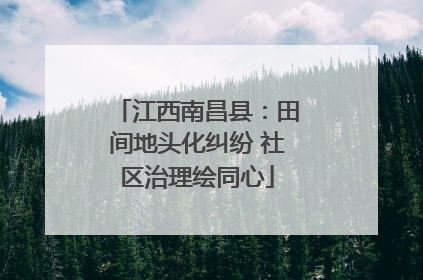 江西南昌县：田间地头化纠纷 社区治理绘同心
