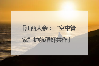 江西大余：“空中管家”护航稻虾共作