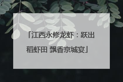 江西永修龙虾：跃出稻虾田 飘香京城宴