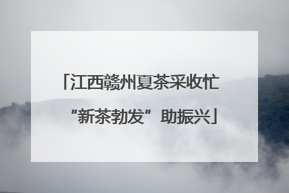 江西赣州夏茶采收忙 “新茶勃发”助振兴