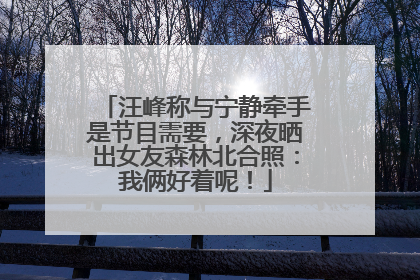 汪峰称与宁静牵手是节目需要，深夜晒出女友森林北合照：我俩好着呢！