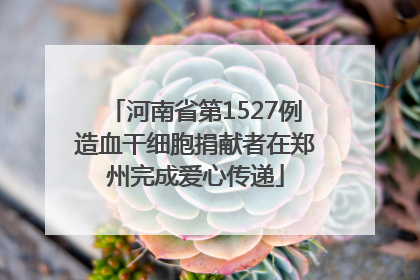 河南省第1527例造血干细胞捐献者在郑州完成爱心传递