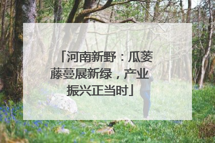 河南新野：瓜蒌藤蔓展新绿，产业振兴正当时